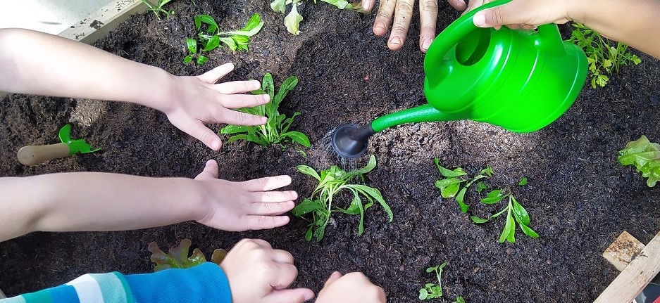 Kleine BioGärtnerinnen bekommen den grünen Daumen InnovationCity